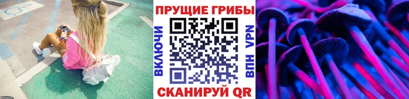 Галлюциногенные грибы GOLDEN TEACHER Тосно